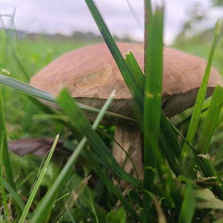 Ostoja Czersk Zamek Gora Kalwaria Apartman Kültér fotó