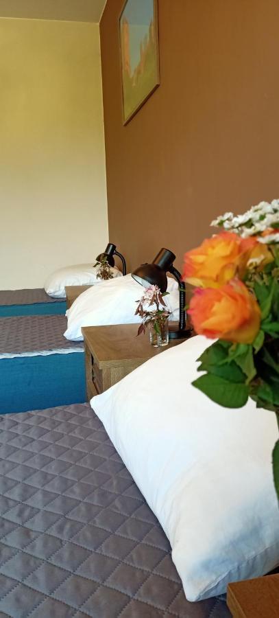 Ostoja Czersk Zamek Gora Kalwaria Apartman Kültér fotó
